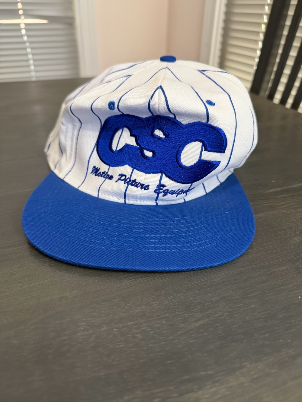 Vintage CSC Master Picture Equipment SnapBack Hat White Pinstripe Cap
